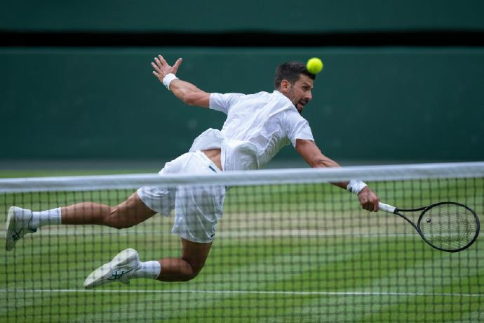 温网绝杀ATP总决赛，德约科维奇统治全场