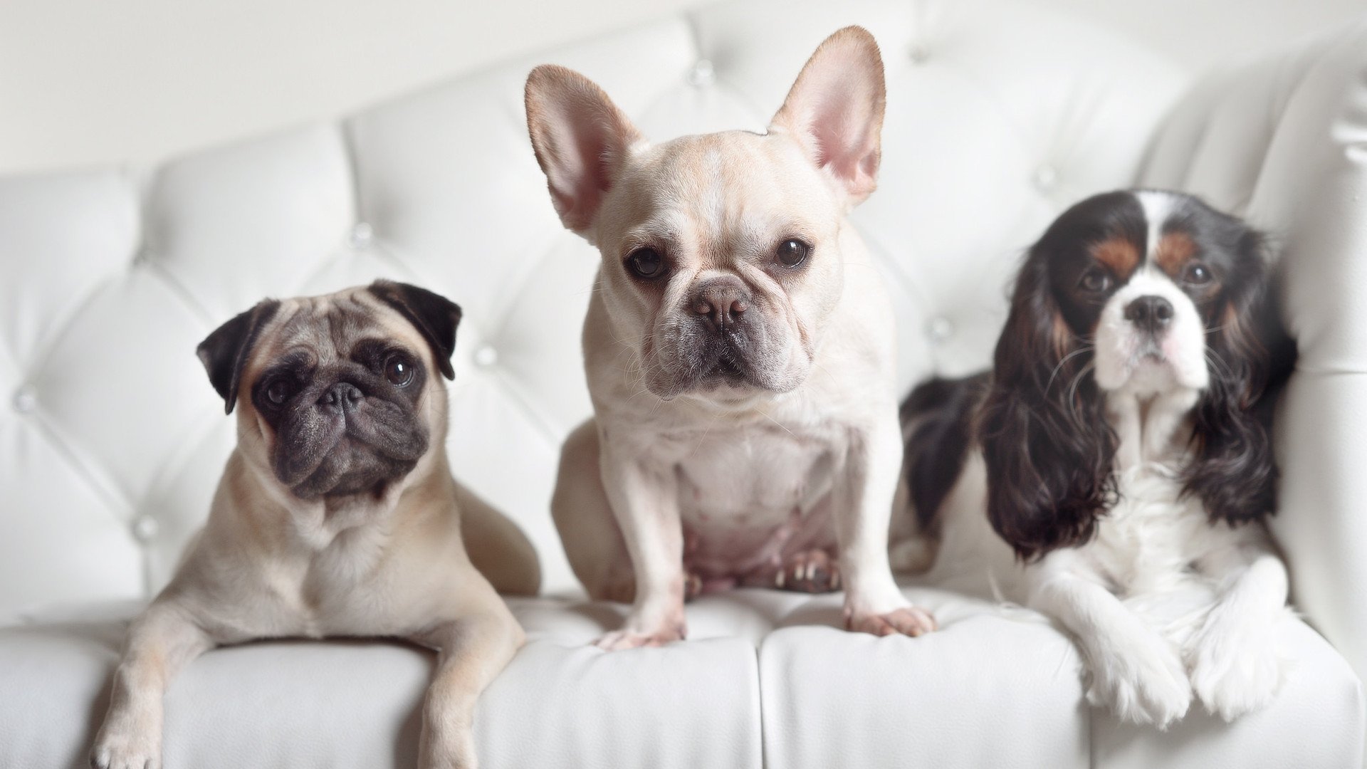 开云体育登录-绝杀之夜，马琳的战术魔法如何让法国队改写历史