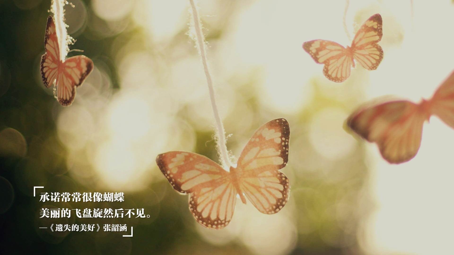 唯一性的胜利，英格兰队完胜日本队与樊振东统治全场的双重荣耀