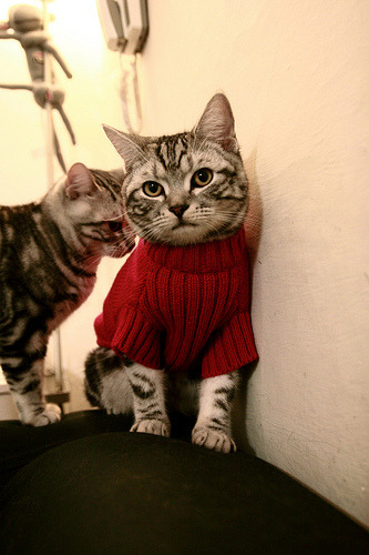 开云体育入口-围场双面战，威廉姆斯鏖战阿斯顿马丁，勒克莱尔独舞中游风暴