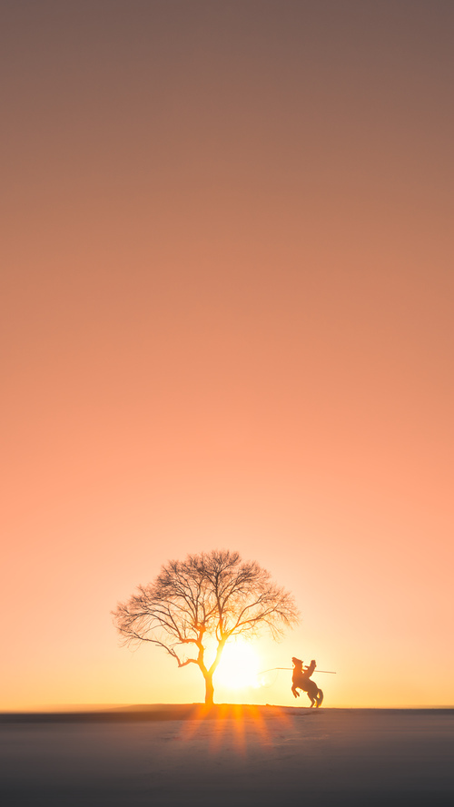 猛龙出闸，奇才失灵，爱德华兹用全场最佳表现写下无争议的胜利宣言