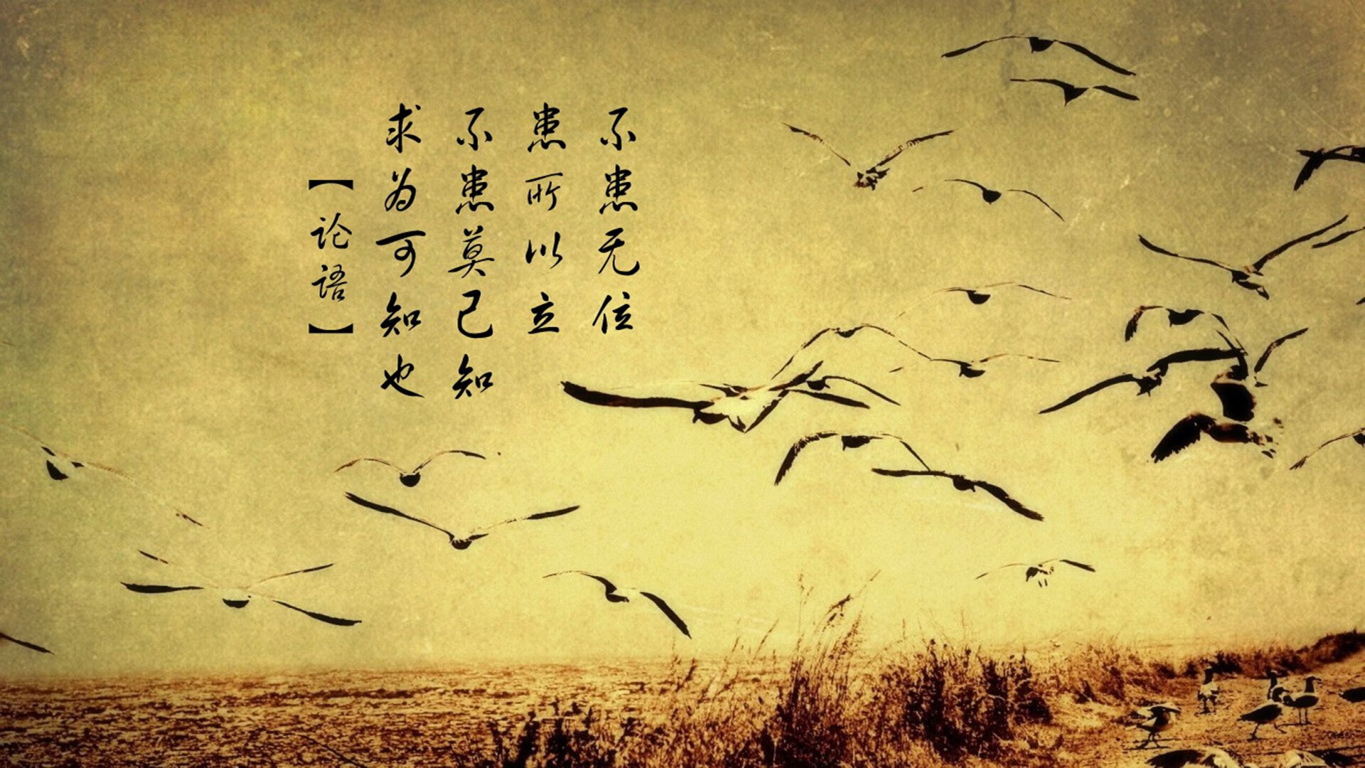 风暴眼与破晓者，当文班亚马的绝对领域笼罩黄蜂与国王的史诗战场