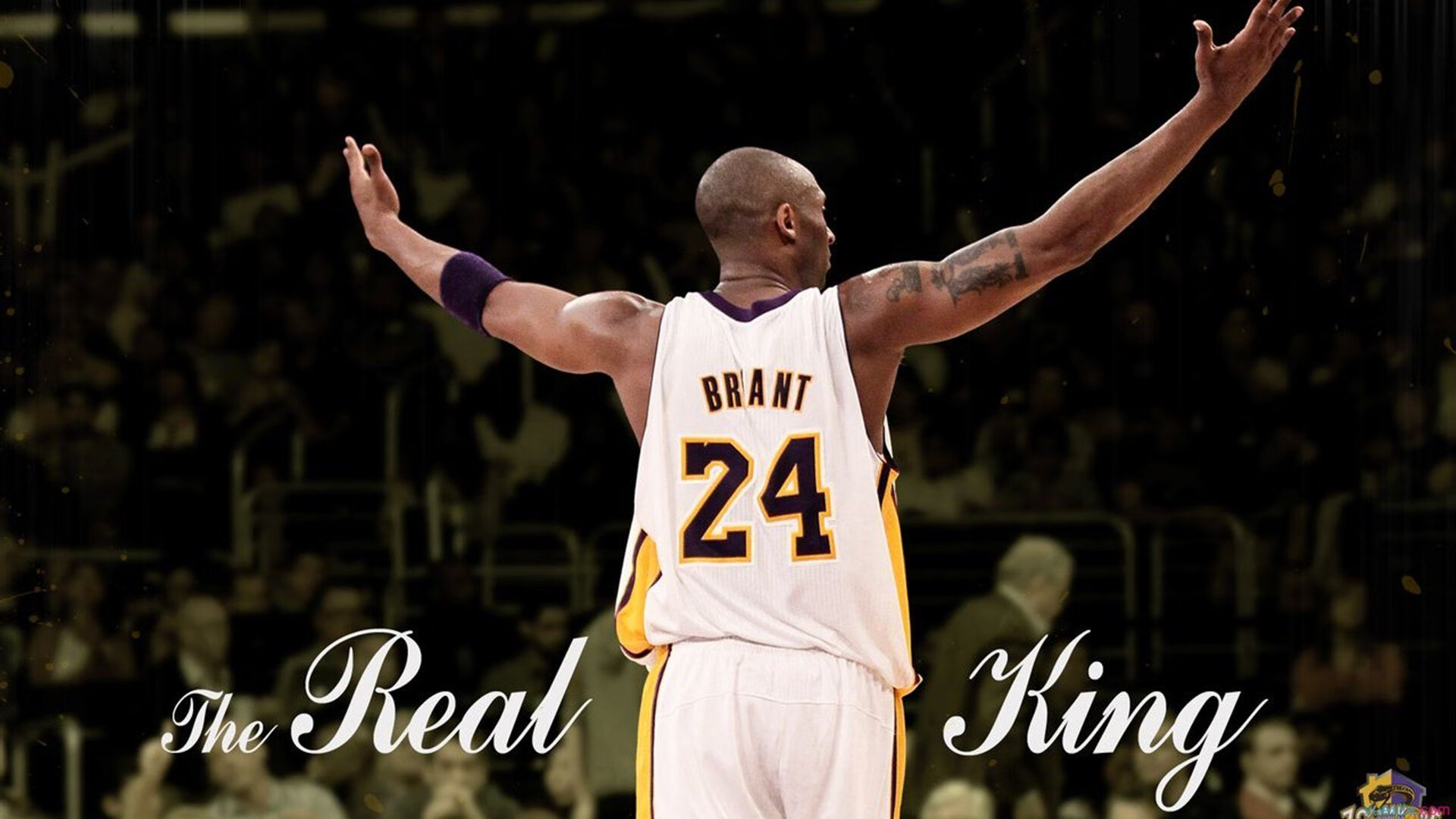 沙漠风暴中的冰球基因，当加拿大队长化身苏亚雷斯式大场面先生