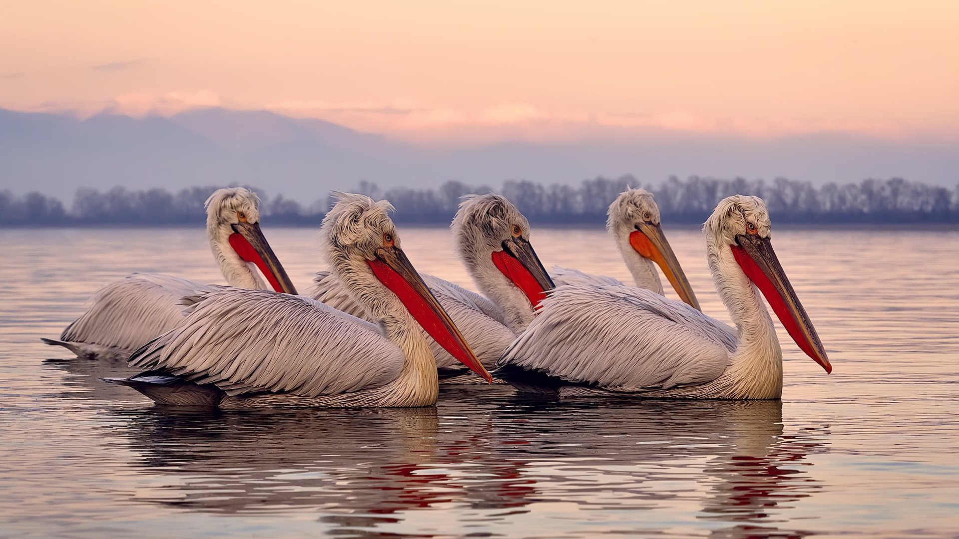 跨界巅峰战，新疆队逆转热火创奇迹，莫兰特50分刷新纪录闪耀全场