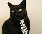 开云体育-当塔图姆在东方闪耀，深圳对阵上海，见证冠军级表演的诞生