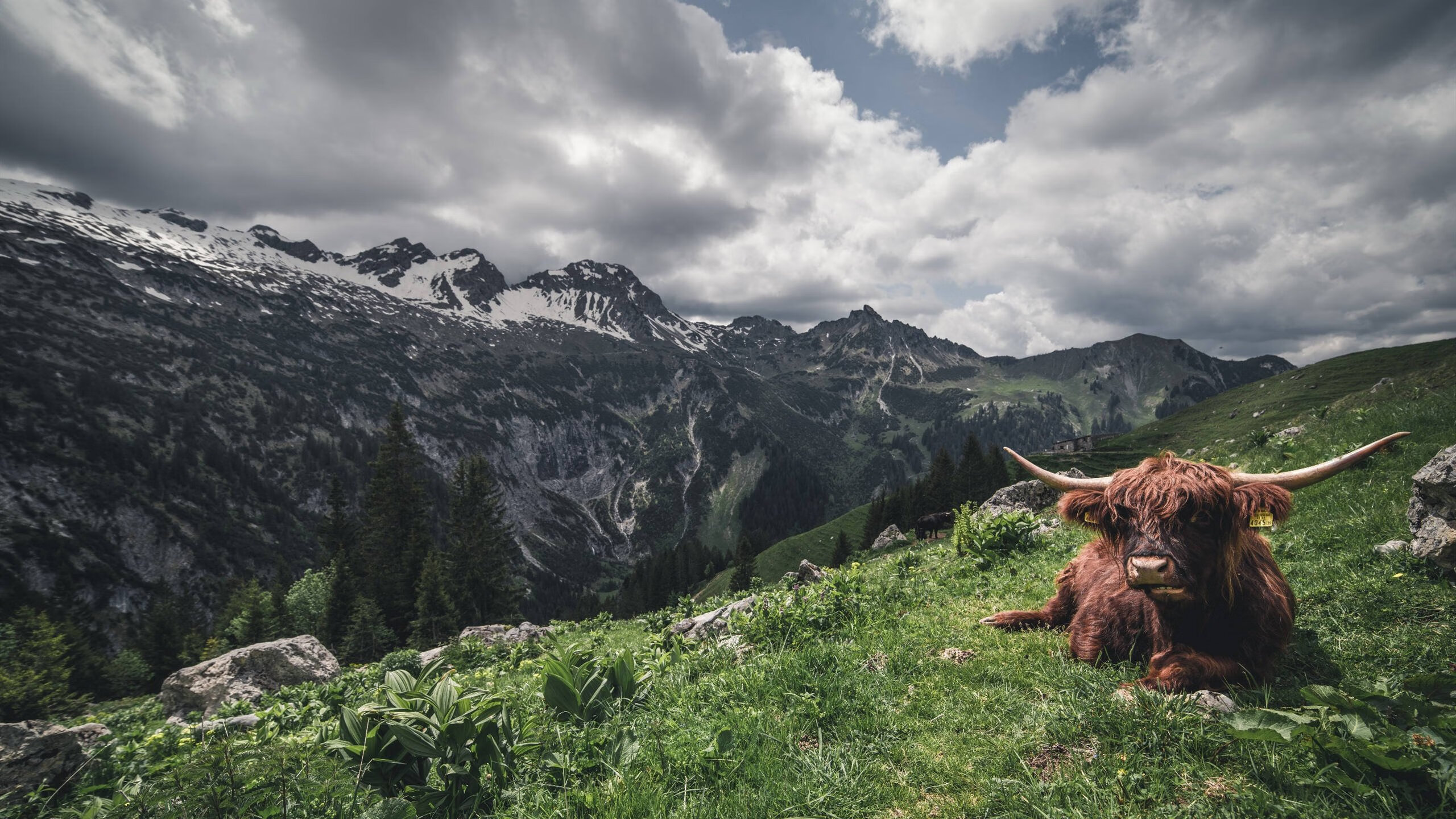 巅峰对决，世界排名争夺战之夜，阿尔瓦雷斯用拳头写就王者传奇