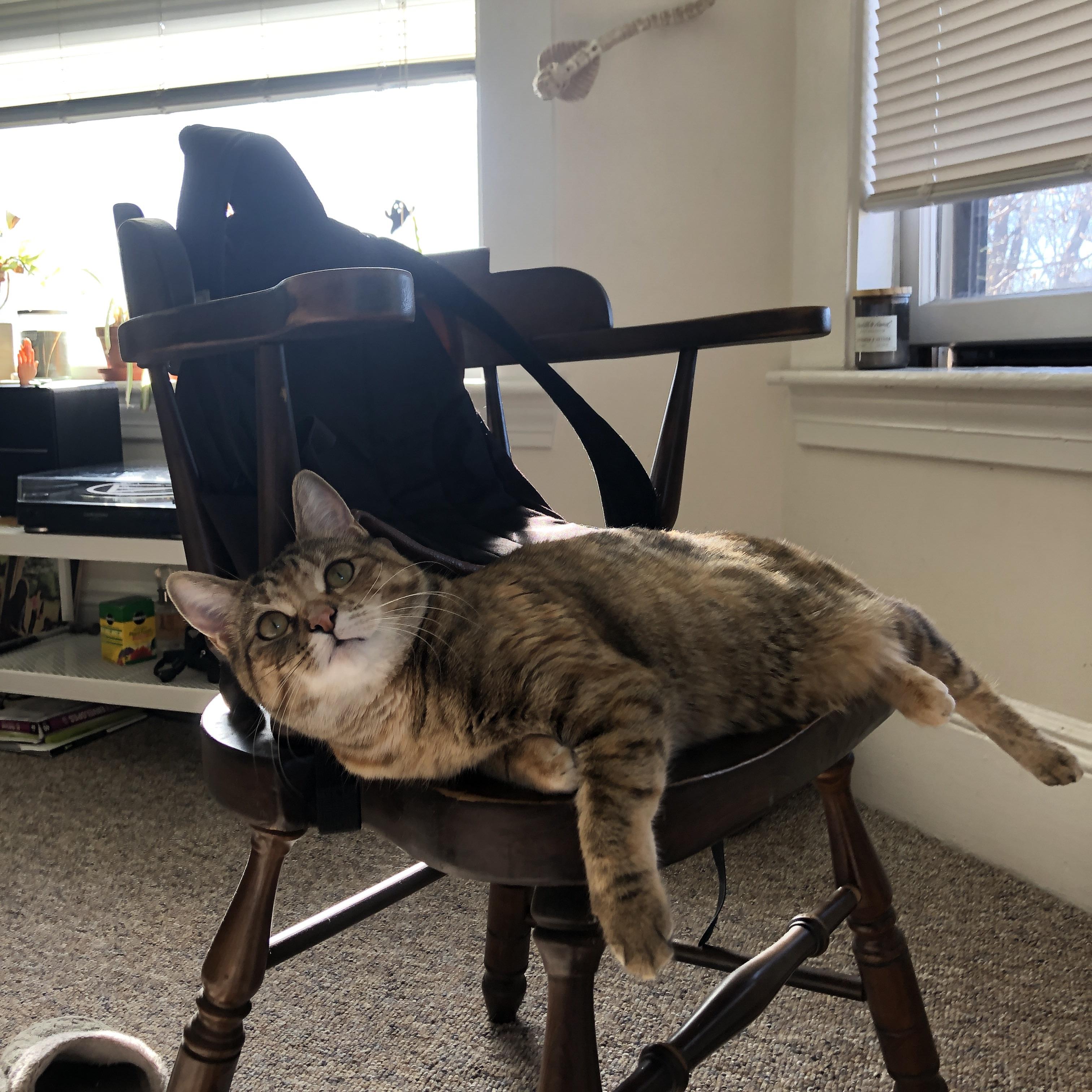 开云体育入口-黄喜灿一剑封喉！亚洲之光闪耀诺坎普，巴萨梦碎欧冠之路