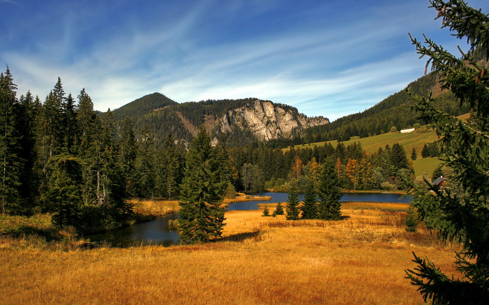 开云体育在线-唯一解，从亚松森的雨夜到明尼苏达的尖叫，绝望时刻如何催生孤胆英雄