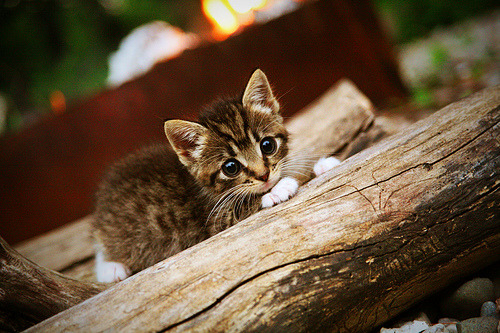 布克终场绝杀展现巨星价值，76人压哨险胜活塞