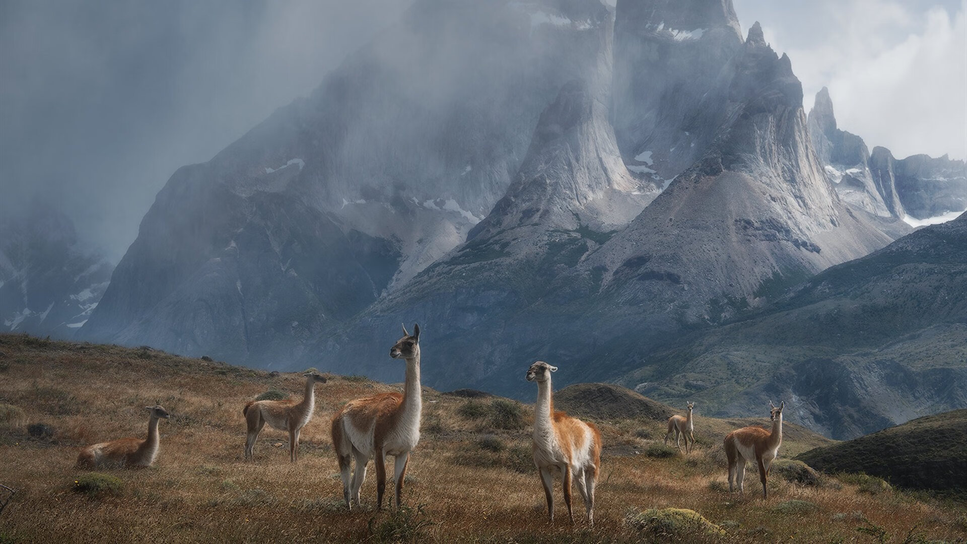 开云体育官网-蓝色王朝的诗人，用最后一笔绝杀提前写就终章