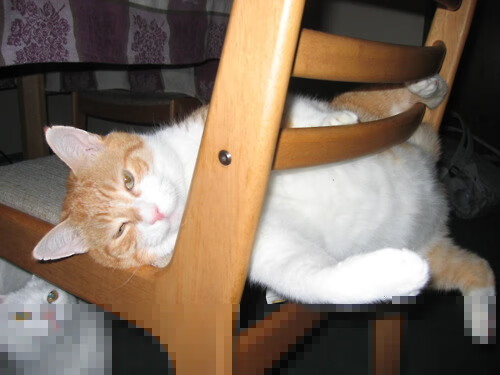 世界杯之夜，德布劳内，绿茵场的稳定器与不掉线神话