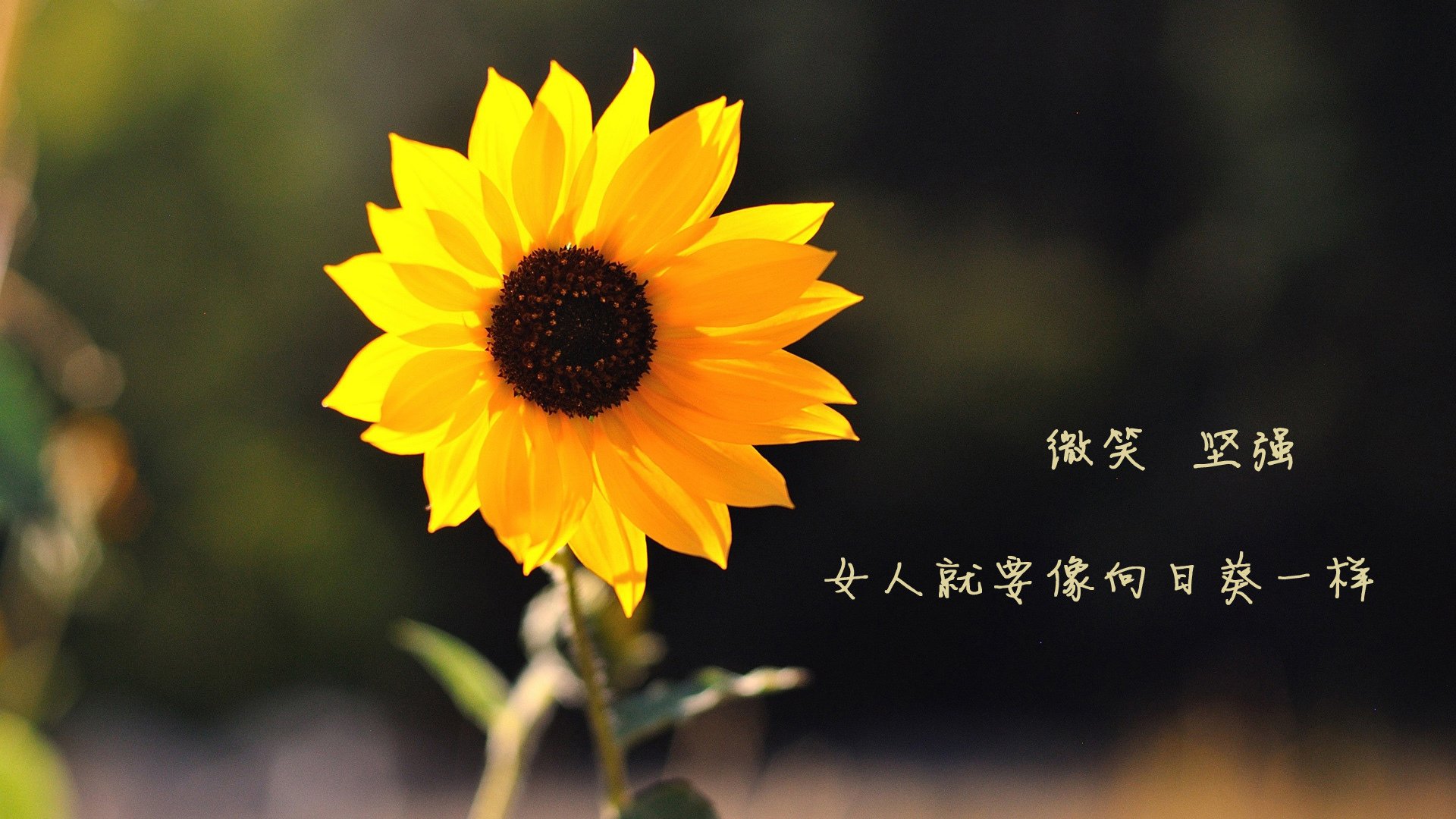 开云sport-最后一秒的魔法，孔德致命一击，贝蒂斯压哨绝杀国际米兰