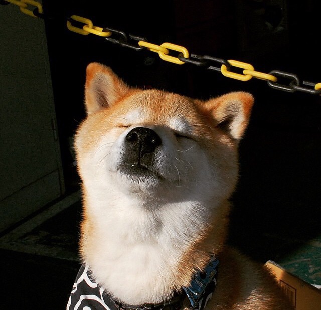 沙漠风暴掀翻蔚蓝海岸,沙特抢七加时鏖战力克摩纳哥